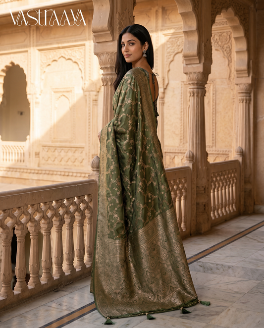 Royal Olive Saree
